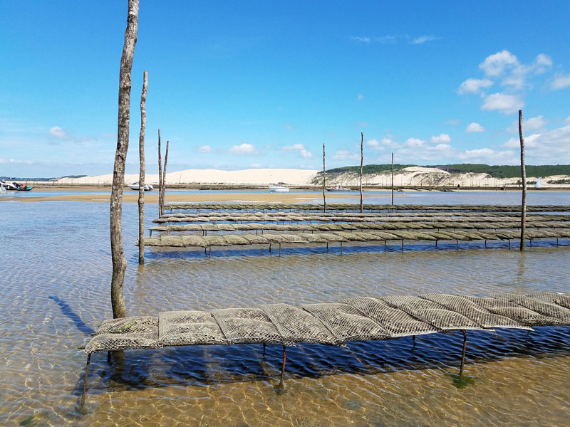 Top 5 des restaurants vue mer à Arcachon